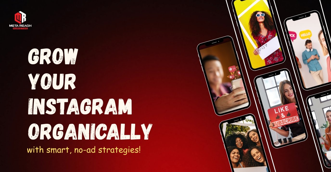How to grow Instagram organically for small businesses in India